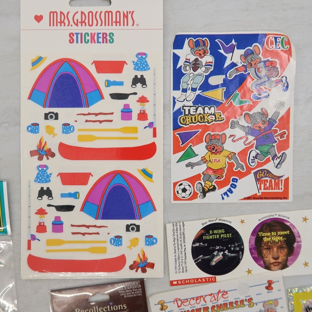 Mixed Lot 13 Stickers Scrapbook Crafts Mrs Gorssman Camping Stickopoamus
